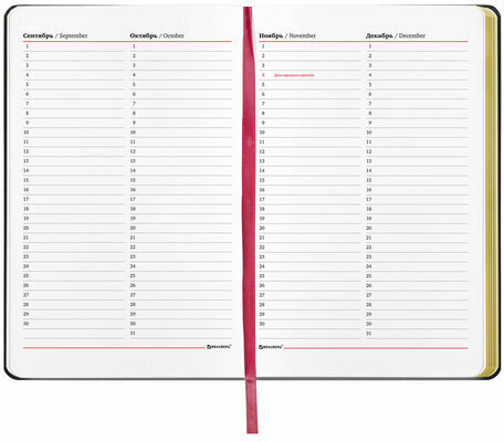 Ежедневник недатированный А5 (138х213 мм), BRAUBERG VISTA, под кожу, гибкий, 136 л., "Pomegranate", 112022