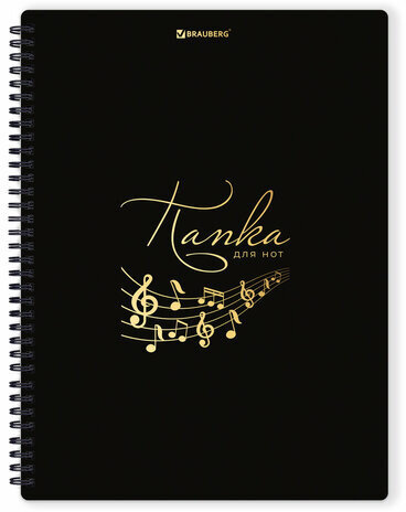 Папка-тетрадь для нот А4, 20 вкладышей на 40 страниц, на гребне, пластик, ЧЕРНАЯ, BRAUBERG, 404643