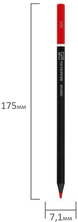 Карандаши цветные художественные BRAUBERG ART PREMIERE, НАБОР 72 цвета, 4 мм, металл кейс, 181693