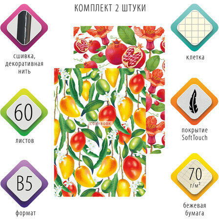 Тетради 60 л. в клетку обложка SoftTouch, НАБОР 2 шт., бежевая бумага 70 г/м2, сшивка, B5 (179х250 мм), ФРУКТЫ, BRAUBERG, 403822