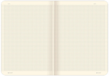 Тетради 60 л. в клетку обложка SoftTouch, НАБОР 2 шт., бежевая бумага 70 г/м2, сшивка, B5 (179х250 мм), ФРУКТЫ, BRAUBERG, 403822