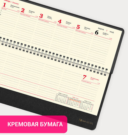 Планинг датированный 2024 305х140 мм BRAUBERG "Iguana", под кожу, черный, 114808