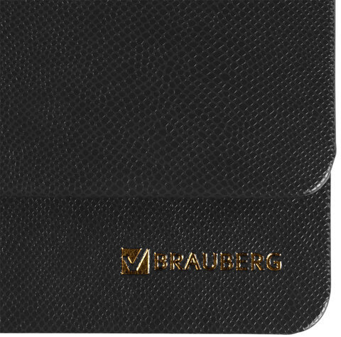 Планинг датированный 2024 305х140 мм BRAUBERG "Iguana", под кожу, черный, 114808