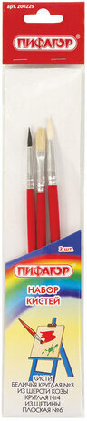Кисти ПИФАГОР, набор 3 шт. (БЕЛКА: круглая № 3; КОЗА: круглая № 4; ЩЕТИНА: плоская № 6), пакет с европодвесом, 200229