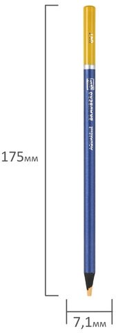 Карандаши художественные цветные акварельные, 120 цветов, 4 мм, металлический кейс, BRAUBERG ART PREMIERE, 181926