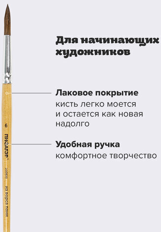 Кисть ПИФАГОР, ПОНИ, круглая, № 6, деревянная лакированная ручка, колпачок, пакет с подвесом, 200835