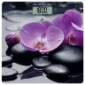 Весы напольные SCARLETT SC-BS33E067 "Орхидеи", электронные, максимальная нагрузка 180 кг, квадрат, стекло