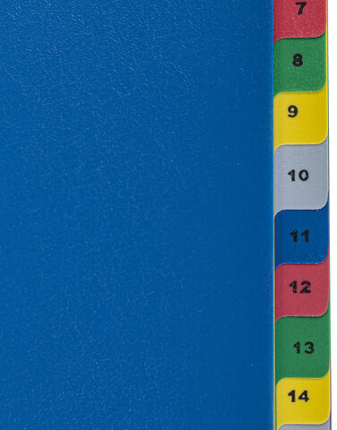 Разделитель пластиковый широкий BRAUBERG А4+, 20 листов, цифровой 1-20, оглавление, цветной, 225623