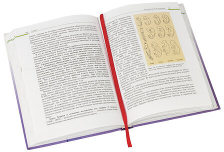 Закладки-ляссе "РАДУГА" для книг А5 (длина 28 см) ПИФАГОР, клейкий край, 4 ленты, 111648