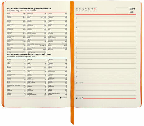Ежедневник недатированный А5 (138х213 мм), BRAUBERG VISTA, под кожу, гибкий, 136 л., "Fox king", 112023