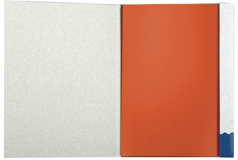 Картон цветной А4 2-цветный МЕЛОВАННЫЙ EXTRA, 10 листов, 20 цветов, в папке, BRAUBERG, 200х290 мм, 113553