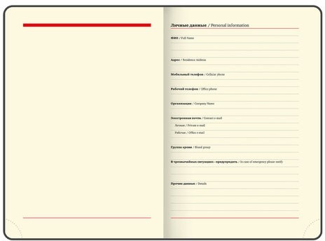 Ежедневник недатированный БОЛЬШОЙ ФОРМАТ 210х297 мм А4, BRAUBERG "Iguana", под кожу, 160 л., черный,114452
