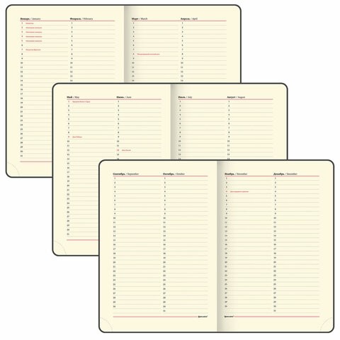 Ежедневник недатированный БОЛЬШОЙ ФОРМАТ 210х297 мм А4, BRAUBERG "Iguana", под кожу, 160 л., черный,114452