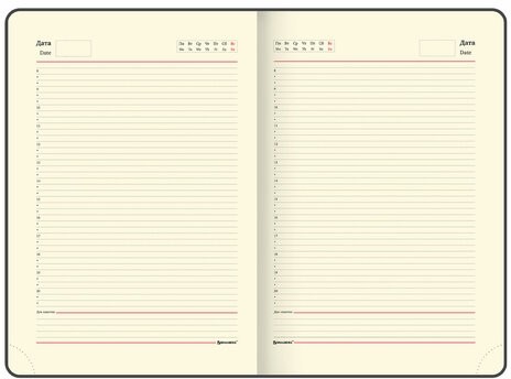 Ежедневник недатированный БОЛЬШОЙ ФОРМАТ 210х297 мм А4, BRAUBERG "Iguana", под кожу, 160 л., черный,114452