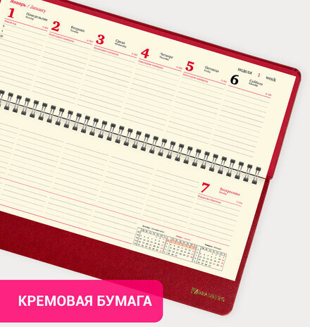 Планинг датированный 2024 305х140 мм, BRAUBERG "Iguana", под кожу, красный, 114809