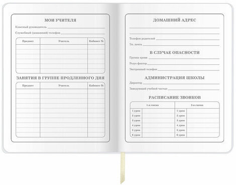 Дневник 1-4 класс 48 л., кожзам (гибкая), печать, фольга, ЮНЛАНДИЯ, "Панда", 106165