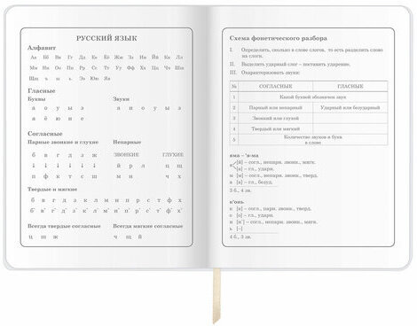 Дневник 1-4 класс 48 л., кожзам (гибкая), печать, фольга, ЮНЛАНДИЯ, "Панда", 106165