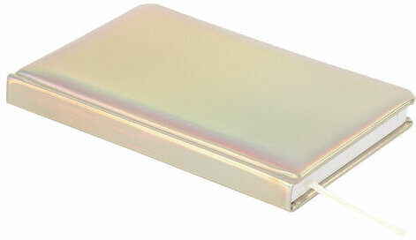 Ежедневник недатированный А5 138х213 мм BRAUBERG "Holiday" под кожу, 136 л., серебристый, 111867