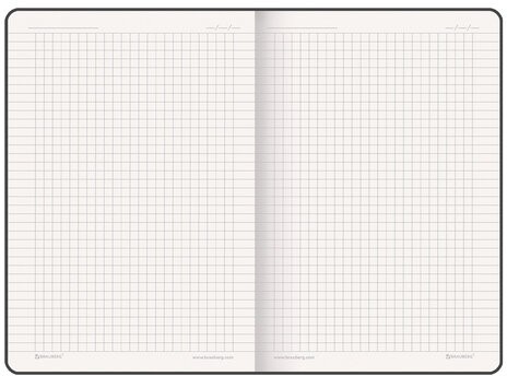 Блокнот А5 (162х218 мм), BRAUBERG "NOTE", под кожу софт-тач, с резинкой, 80 л., клетка, коричневый, 113436