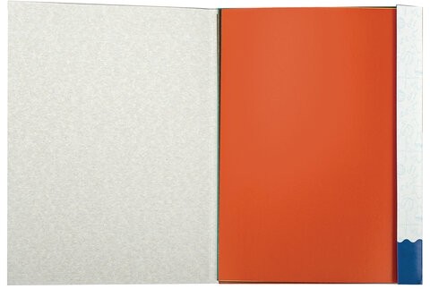 Картон цветной А4 2-сторонний МЕЛОВАННЫЙ EXTRA, 20 листов, 10 цветов, в папке, BRAUBERG, 200х290 мм, 113554