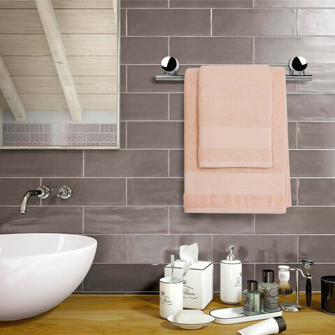 Держатель для полотенец LAIMA, ширина 46 см, нержавеющая сталь, крепление к стене, 607432