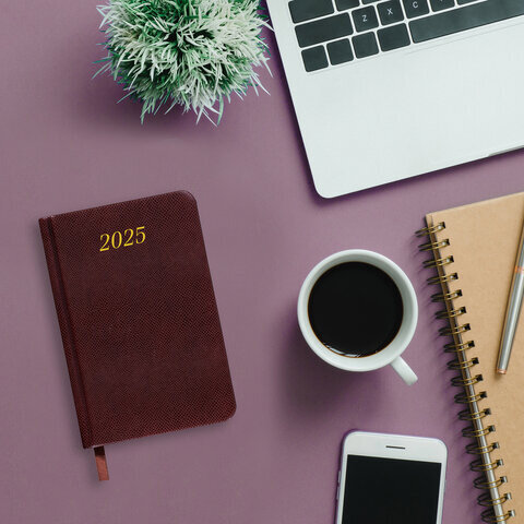 Ежедневник датированный 2025 МАЛЫЙ ФОРМАТ 100х150 мм А6, BRAUBERG "Iguana", под кожу, коричневый, 115743