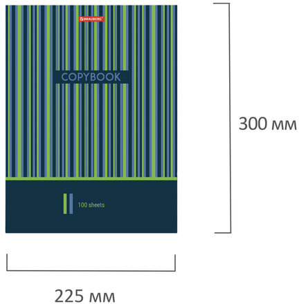 Тетрадь на кольцах БОЛЬШОГО ФОРМАТА 225х300 мм А4, 100 л., обложка картон, клетка, BRAUBERG, "Полосы", 403273