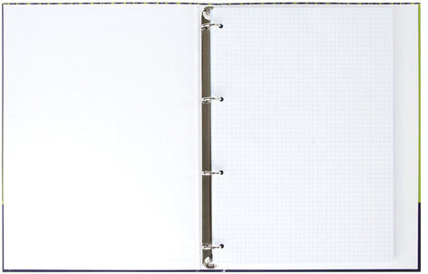 Тетрадь на кольцах БОЛЬШОГО ФОРМАТА 225х300 мм А4, 100 л., обложка картон, клетка, BRAUBERG, "Полосы", 403273