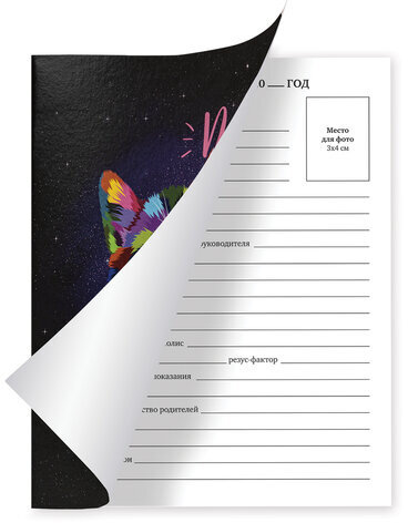 Дневник 1-11 класс 40 л., на скобе, ПИФАГОР, обложка картон, "Котик", 106580