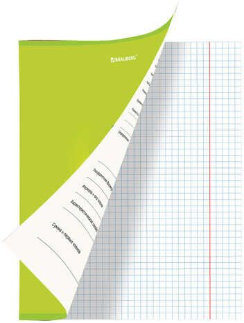 Тетрадь предметная со справочным материалом "AVOCADO" 48 л., глянцевый лак, АЛГЕБРА, клетка, BRAUBERG, 404273