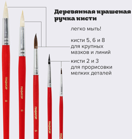 Кисти ПИФАГОР, набор 5 шт. (БЕЛКА: круглая № 3; КОЗА: круглые № 6, 8; ПОНИ: круглые № 2, 5), пакет с европодвесом, 200231
