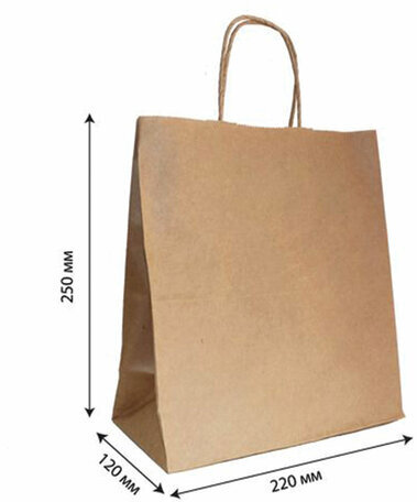 Крафт-пакет бумажный 22х12х25 см, крученые ручки, плотность 90 г/м2