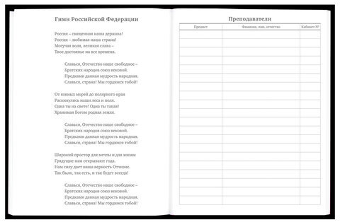 Дневник 5-11 класс 48 л., твердый, BRAUBERG, матовая ламинация, с подсказом, "Гитара", 107185
