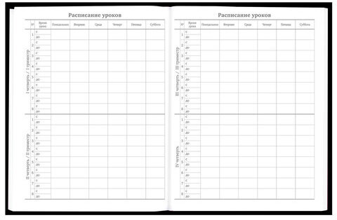 Дневник 5-11 класс 48 л., твердый, BRAUBERG, матовая ламинация, с подсказом, "Гитара", 107185
