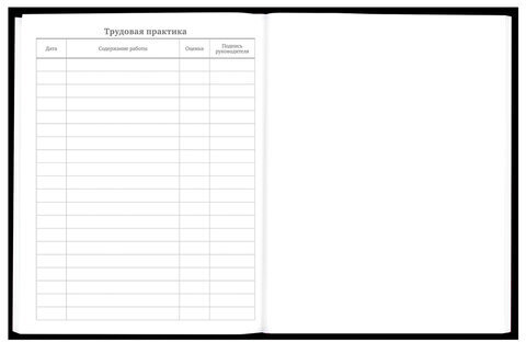 Дневник 5-11 класс 48 л., твердый, BRAUBERG, матовая ламинация, с подсказом, "Гитара", 107185