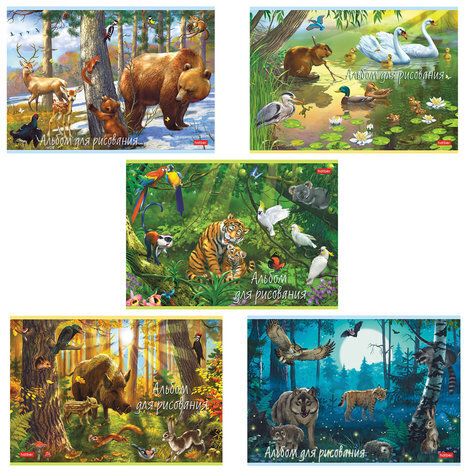 Альбом для рисования, А4, 20 листов, скоба, обложка картон, HATBER, 205х290 мм, "В сказочном лесу" (5 видов), 20А4В
