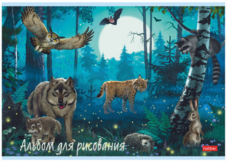 Альбом для рисования, А4, 20 листов, скоба, обложка картон, HATBER, 205х290 мм, "В сказочном лесу" (5 видов), 20А4В