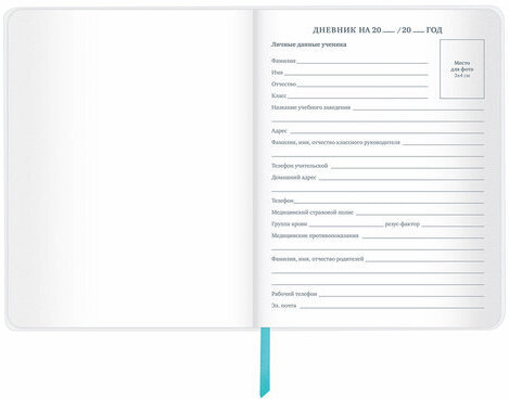Дневник 1-11 класс 48 л., кожзам (гибкая), термотиснение, фольга, BRAUBERG, "Авокадо", 106167