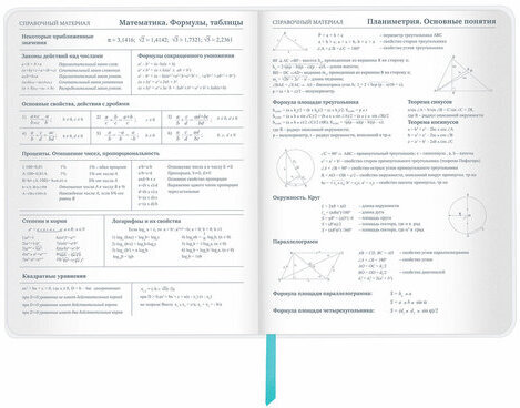 Дневник 1-11 класс 48 л., кожзам (гибкая), термотиснение, фольга, BRAUBERG, "Авокадо", 106167