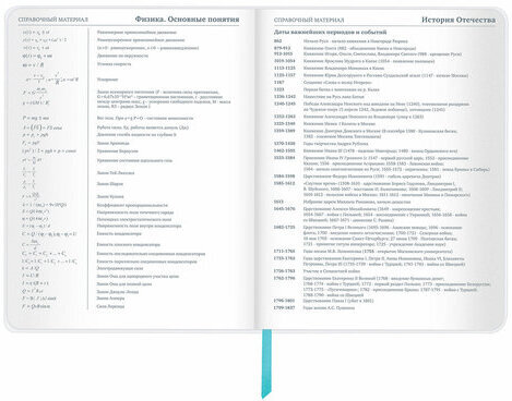 Дневник 1-11 класс 48 л., кожзам (гибкая), термотиснение, фольга, BRAUBERG, "Авокадо", 106167