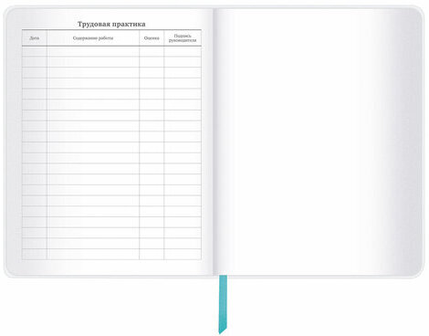 Дневник 1-11 класс 48 л., кожзам (гибкая), термотиснение, фольга, BRAUBERG, "Авокадо", 106167