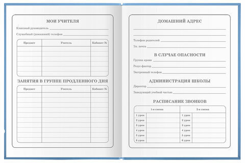 Дневник 1-4 класс 48 л., гибкая обложка, ЮНЛАНДИЯ, выборочный лак, с подсказом, "Совушка", 106342
