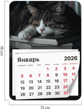 Календарь отрывной на магните на 2026 г., BRAUBERG, 130x180 мм, склейка, "Спящий кот", 117292