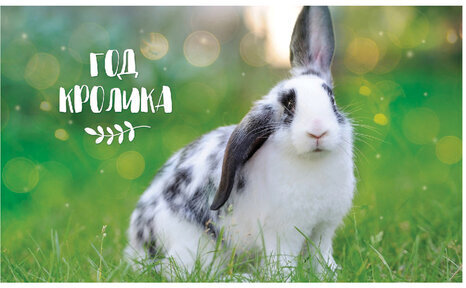 Календарь квартальный с бегунком 2023 г., 3 блока, 4 гребня, УльтраЛюкс, "Год Кролика", HATBER, 3Кв4гр2ц_27154