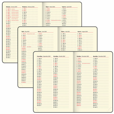 Ежедневник датированный 2025 МАЛЫЙ ФОРМАТ 100х150 мм А6, BRAUBERG "Iguana", под кожу, черный, 115744