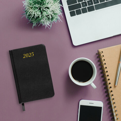 Ежедневник датированный 2025 МАЛЫЙ ФОРМАТ 100х150 мм А6, BRAUBERG "Iguana", под кожу, черный, 115744