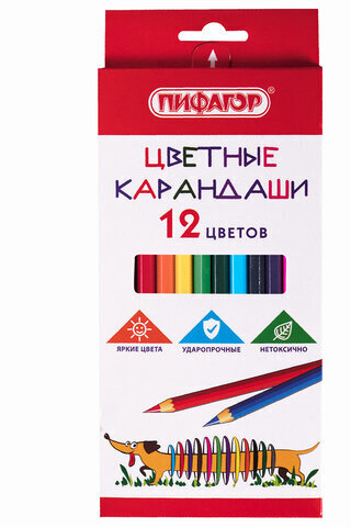 Карандаши цветные ПИФАГОР "Веселая такса", 12 цветов, классические, заточенные, 181806