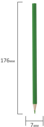 Карандаши цветные ПИФАГОР "Веселая такса", 12 цветов, классические, заточенные, 181806