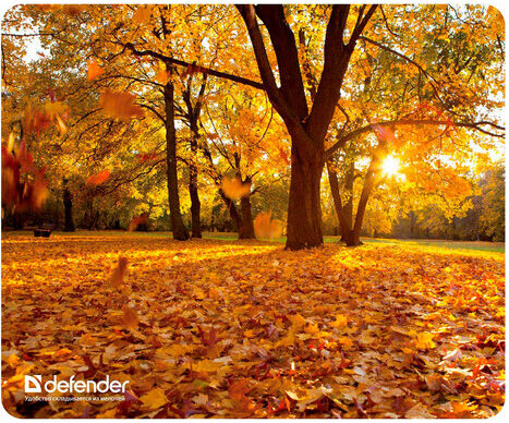 Коврик для мыши DEFENDER Silk Pad Nature, шелк+натуральная резина, 230x190x1,6 мм, 10 видов, 50707