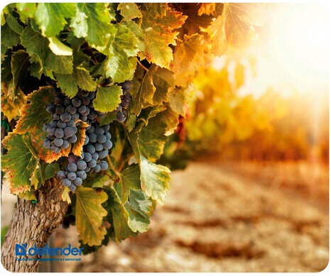 Коврик для мыши DEFENDER Silk Pad Nature, шелк+натуральная резина, 230x190x1,6 мм, 10 видов, 50707